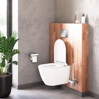 Подвесной унитаз Damixa Apollo безободковый белый DX22C1700SC